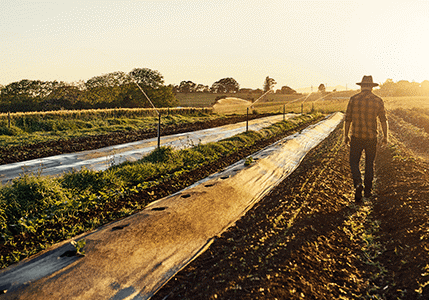 Agricultural Framework October 7 | Webinar: Evaluating the European Regulatory Framework for Crop Protection Products and Agricultural Biotechnology