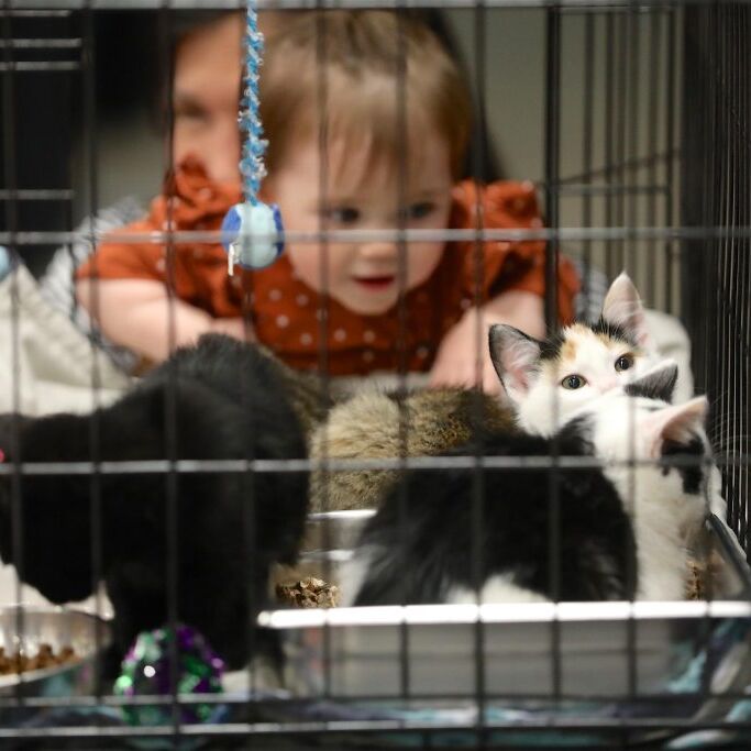 RJF_7560-min RJF_7560-min