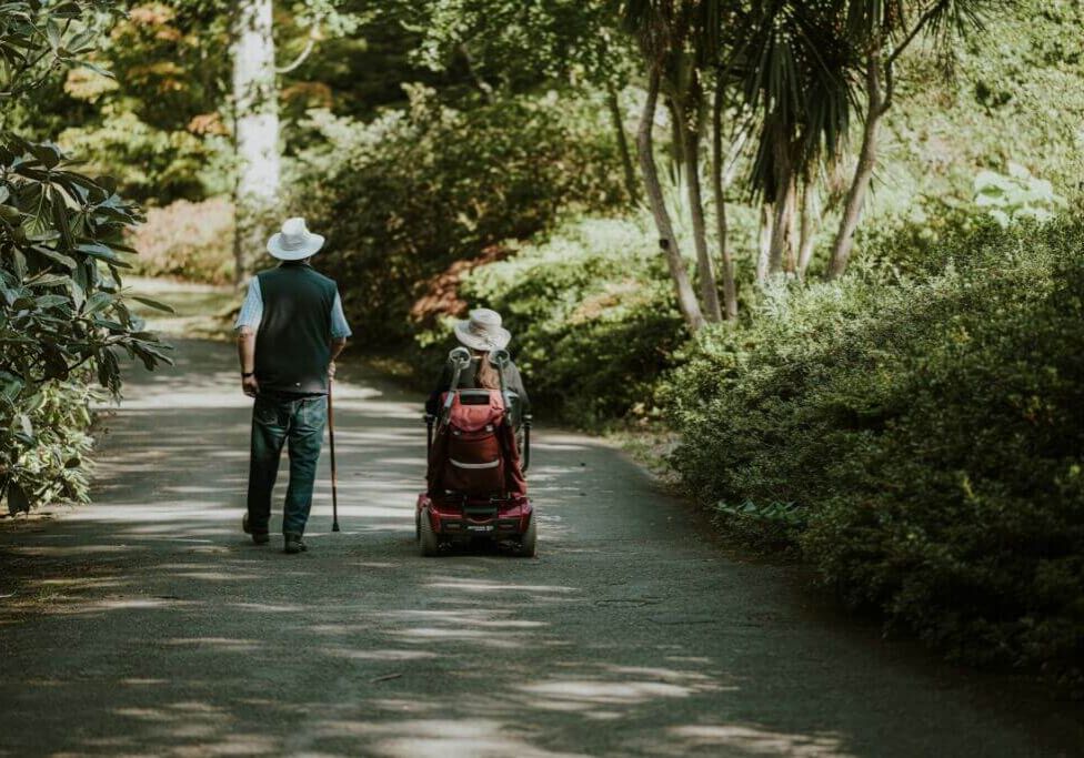 annie-spratt-A2bvXVD5qgo-unsplash annie-spratt-A2bvXVD5qgo-unsplash