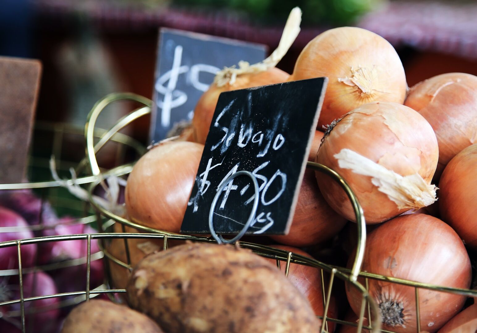 ca-creative-6gz_kInMaik-unsplash ca-creative-6gz_kInMaik-unsplash