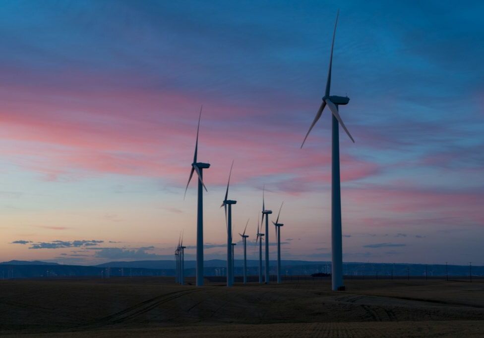 dan-meyers-vouoK_daWL8-unsplash dan-meyers-vouoK_daWL8-unsplash