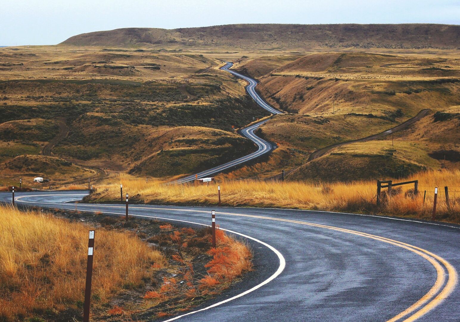 jesse-bowser-c0I4ahyGIkA-unsplash jesse-bowser-c0I4ahyGIkA-unsplash