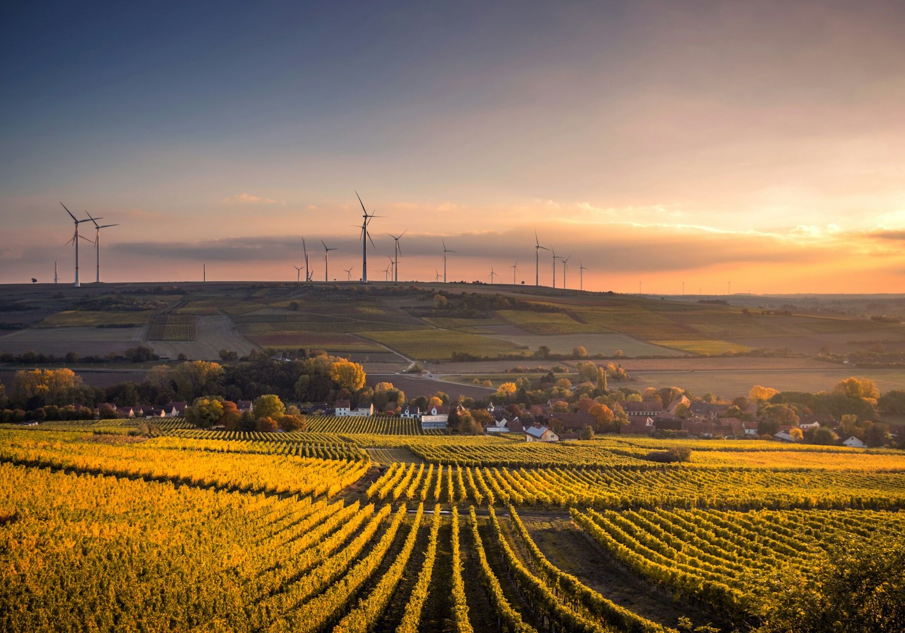 karsten-wurth-UbGYPMbMYP8-unsplash (1) karsten-wurth-UbGYPMbMYP8-unsplash (1)