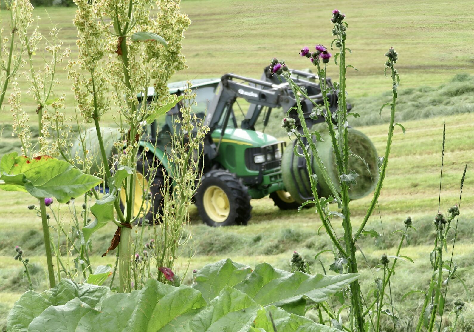 kato-bergli-L8ns8DbIu98-unsplash kato-bergli-L8ns8DbIu98-unsplash