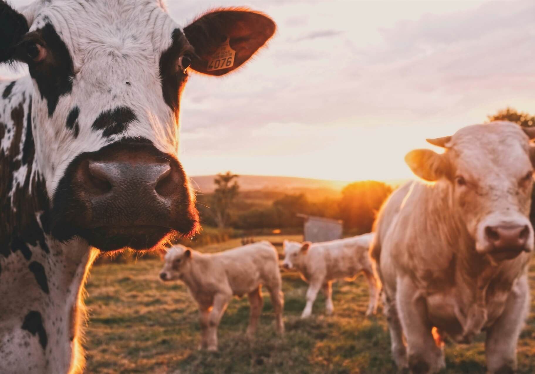 stijn-te-strake-UdhpcfImQ9Y-unsplash (1) stijn-te-strake-UdhpcfImQ9Y-unsplash (1)